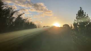 In the wildlife paddock Kyneton 10th Aug 2024 [upl. by Oremo]