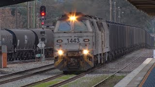 Independent Rail Australias quotMZquot class locos at Cootamundra [upl. by Aehcim]