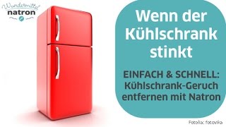 Kühlschrank stinkt – Was tun [upl. by Trevorr]