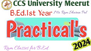 BEd1st Year Practicals 2024 CCSU RamSharanPal bedupdate bedpracticals [upl. by Yetac210]