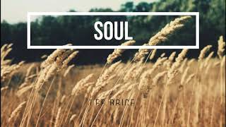 Lee Brice  Soul Lyrics 2020 [upl. by Neira81]