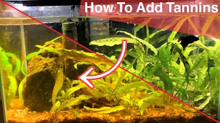 How To Add Tannins To Your Aquarium [upl. by Ybhsa358]