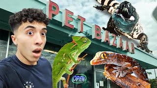 I went to this AWESOME Reptile Store in FLORIDA Florida Series EP1 [upl. by Rebmetpes507]