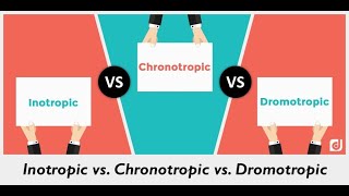 Discuss Chronotropic Inotropic Dromotropic Bathmotropic actions and Idioventricular rhythm [upl. by Enywad911]