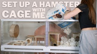 Set up a Hamster cage With Me [upl. by Anatola]