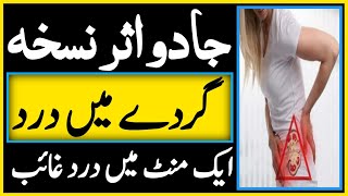 Kidney pain Treatment  Gurdy main dard ka fori Aur Gharelu ilaj By Hakeem Zia Shahid [upl. by Aliab678]