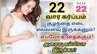 22 வார கர்ப்பம்  22 week pregnant in tamil  22 week pregnancy  6th month pregnancy in tamil [upl. by Eneja]