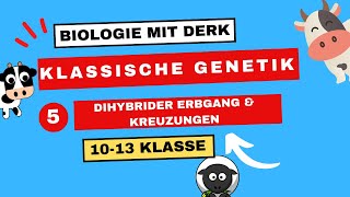 Klassische Genetik  5  Dihybrider Erbgang amp Kreuzungen 3 Mendelsche Regel  10  13 Klasse [upl. by Cosme]