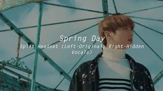 Split Headset Spring Day  BTS HIDDEN VOCALS [upl. by Aneelad]