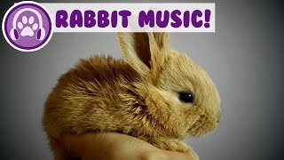 Music for Rabbits Calm and Soothe Your Rabbit and Stop Anxiety [upl. by Eniarda26]