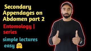 Secondary Appendages on Abdomen part 2  entomology  zoology  asim zoologist [upl. by Sharona]