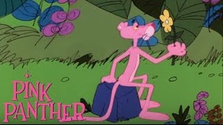 The Pink Panther in quotIts Pink But Is It Minkquot [upl. by Zurn942]