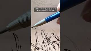 How to draw grass in penandink [upl. by Kola]