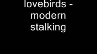 lovebirds  modern stalking [upl. by Nnylhsa]