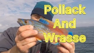 Sea Fishing UK  Pollack and Wrasse  Small Boat Fishing [upl. by Einalem779]