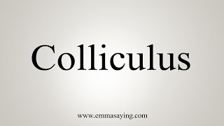 How To Say Colliculus [upl. by Claudina209]