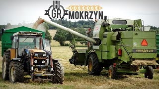 Żniwa 2018 w GR Mokrzyn ☆ Transport amp Rozładunek Zboża ✔ Vlog GoPro MafiaSolecTeam [upl. by Everson]