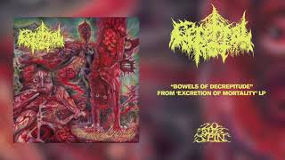 CEREBRAL ROT  Bowels Of Decrepitude From Excretion Of Mortality LP 2021 [upl. by Kung909]