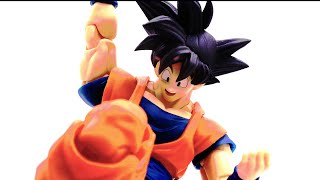 The incredible Diversity of 30 Goku DEMONIACAL FIT MARTIALIST FOREVER SH FIGUARTS Showcase [upl. by Nanon]