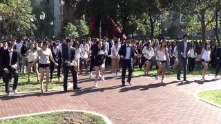 University of Pennsylvania Flash Mob  GANGNAM STYLE [upl. by Aviva]