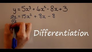 Differentiation [upl. by Sidwell]