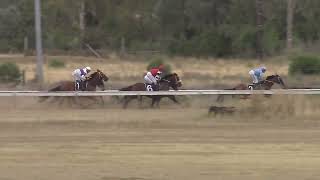 Narrabri 23 03 2024 Race 4 [upl. by Malcah]