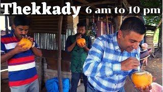 A day at Thekkady Kerala Episode 6 Periyar National Park Things to do in Thekkady [upl. by Aleron]