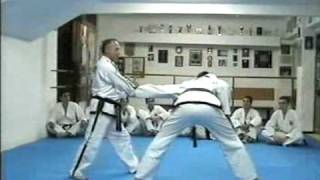 Taekwondo ITF Self Defense [upl. by Nenerb]