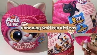 UNBOXING PETS ALIVE SMITTEN KITCHEN unboxing [upl. by Ellekim96]