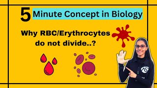 Why RBCsErythrocytes do not divide MiniSeries apnasapnajrf [upl. by Tiloine]