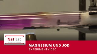 Magnesium reagiert mit Iod – Experiment für den Unterricht Chemie [upl. by Cherrita]