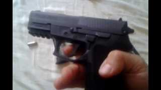 Sig pro sp2022 in 40 [upl. by Oramug]