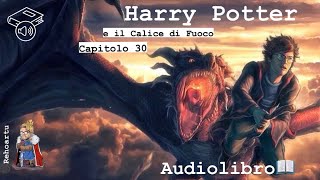 Audiolibro  Harry Potter e il calice di fuoco  Lettura e Commento Cap 30 [upl. by Scholz]