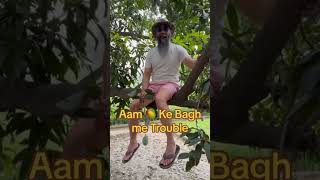 Aam ke Bagh me Trouble australianimmigration bajwa [upl. by Airet]