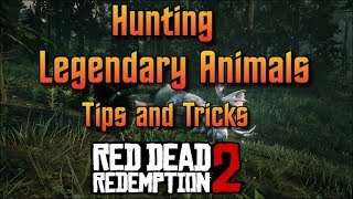 RDR2  Hunting Legendary Animals  Tips and Tricks [upl. by Sharyl]