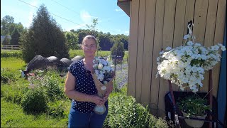 Un Air dété  Ferme Florale [upl. by Ondrea]