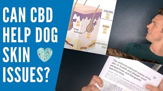 Can CBD Salves Help Dog Skin Issues [upl. by Sievert183]