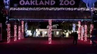 Dec 05 2008  ZooLights [upl. by Nylazor610]