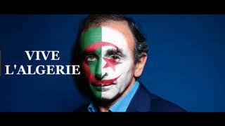 🔴▶▶ Débat Zemmour sur le berbère [upl. by Nilrah469]