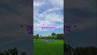 ভিডিও ভালো লাগলে সাবসক্রাইব করুন। shorts viralshorts trending [upl. by Hough455]