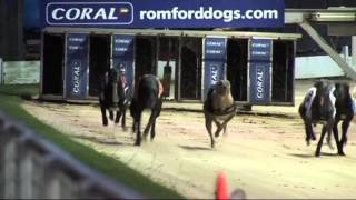 INTRALOT Racing Live Greyhound Racing 2014 [upl. by Kcarb]