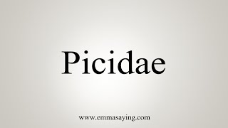 How To Say Picidae [upl. by Ainod]