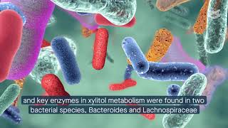 Xylitol Enhances Synthesis of Propionate in Colon via Cross feeding of Gut Microbiota [upl. by Ramad]