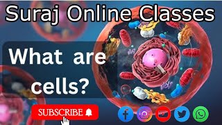 How Cells Became Complex Cell Biology Explained [upl. by Nera496]