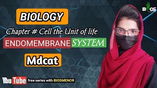 endoplasmic reticulum  golgi body function  function of lysosome  endomembranesystem [upl. by Ewolram]