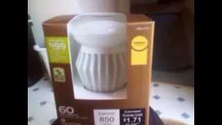 EcoSmart 850 lumen vs G7A21930 9watt 900 lumen bulb [upl. by Anyk558]