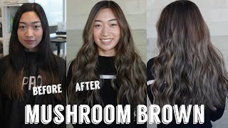 Hair Transformations with Lauryn Virgin Hair to Ash Brown Blonde Balayage Ep 133 [upl. by Llenrag]