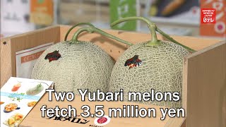 Two Yubari melons fetch 35 million yen [upl. by Edaw]