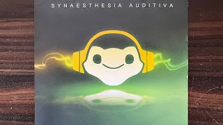 Synaesthesia Auditiva  Overwatch LP [upl. by Retsevlys]