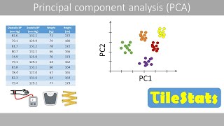 PCA  how to interpret the weightsloadings and Varimax rotation [upl. by Ykcin61]